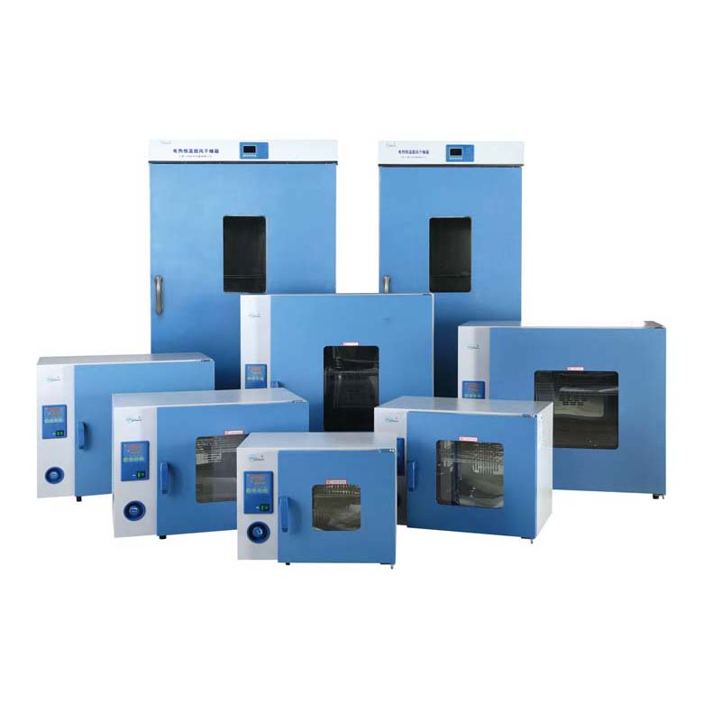 电热鼓风干燥箱